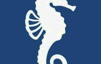 Imagem 7: Ponto, 1500 m² - venda por R$ 13.000.000,00 ou aluguel por R$ 60.000,00/mês...