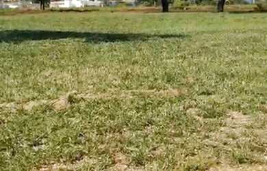 Imagem 7: terreno - Barreira - Arandu