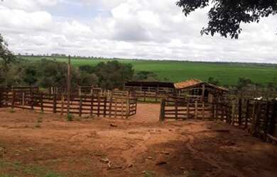 Imagem 5: Fazenda 148 Alqueires, Região São Jose Rio Preto-Sp