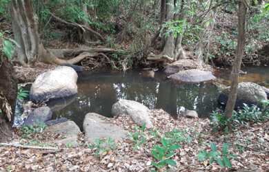 Imagem 3: Chácara em Lajeado-TO. Piscinae20.000m² de Área