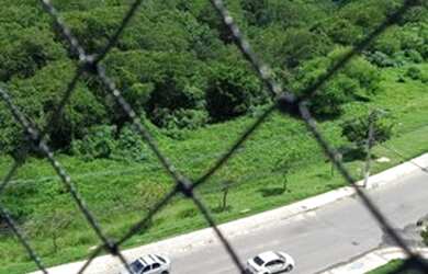 Imagem 4: CONDOMÍNIO ARBORIS JABOTIANA - JABUTIANA gt