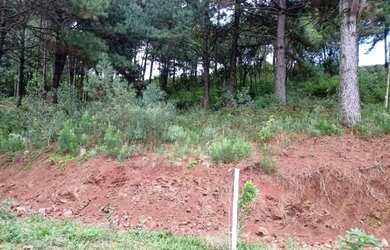 Imagem 3: Terreno à venda, 450 m² por R$ 278.000,00 - Mato Queimado - Gramado/RS