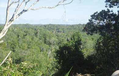 Imagem 4: J Imoveis vende fazenda em Jaguaripe- Bahia 800 Hectares $3.500.000,00