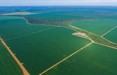 Imagem: A fazenda possui 300-0m² de Área e está localizado em Patrocínio