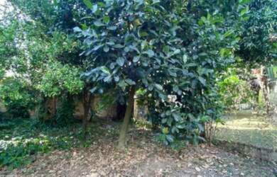 Imagem: O terreno está localizado em Terras de Itaici, Indaiatuba à