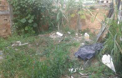 Imagem: O terreno possui 53m² de Área e está localizado em São