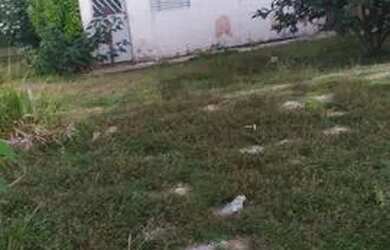 Imagem: A casa possui 2 Dormitórios, 1 Banheiro, 3 Vagas na garagem