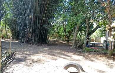 Imagem 6: Casa em dobro. Varanda, 1.500m² de Área, 5 Vagas na garageme5 Dormitórios