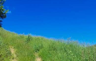 Imagem 2: Lote/Terreno para venda com 260000 metros quadrados