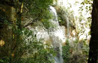 Imagem 3: Sitio - Bairro Santa Terezinha