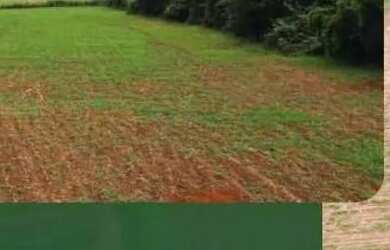 Imagem: O terreno possui 1.000m² de Área e está localizado em Serra