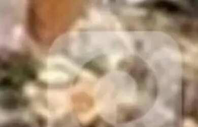 Imagem: O apartamento possui 3 Dormitórios, 5 Banheiros, 2 Vagas na