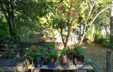 Imagem 13: Sitio - Bairro Santa Terezinha