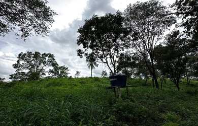 Imagem 12: Fazenda Niquelandia. 1.580.000m² de Área