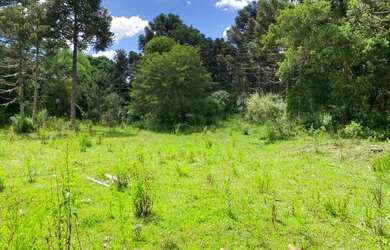 Imagem 5: Terreno de 2 hectare em Urubici