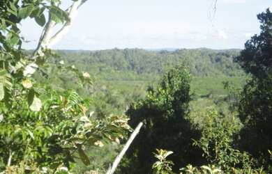 Imagem 5: J Imoveis vende fazenda em Jaguaripe- Bahia 800 Hectares $3.500.000,00