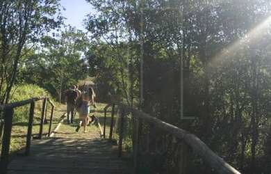 Imagem 6: terreno - Tuiuti - Tuiuti