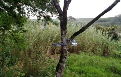 Imagem 1: Terreno à venda, 2445 m² por R$ 480.000,00 - Chácara Jaraguá - São...