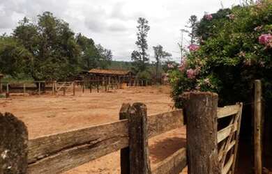 Imagem 3: Fazenda 148 Alqueires, Região São Jose Rio Preto-Sp
