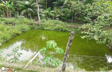 Imagem 9: Chácara em Lajeado-TO. Piscinae20.000m² de Área