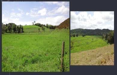 Imagem 6: Fazenda em Jacupiranga. Imóvel novoe2.750.000m² de Área