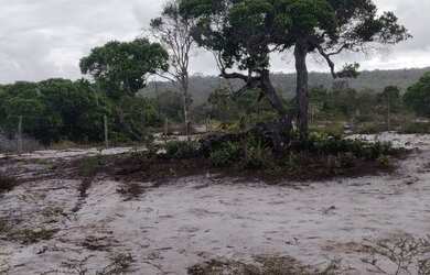 Imagem 4: Estou vendendo um terreno de 1.000 m² a mil metros da praia