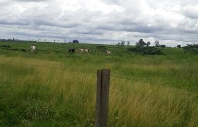 Imagem 6: Fazenda 148 Alqueires, Região São Jose Rio Preto-Sp