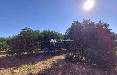 Imagem 14: Sítio com 2 dormitórios à venda, 447700 m² por R$ 4.070.000,00 - Zona...