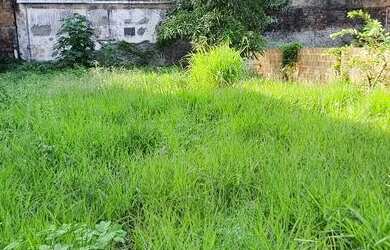 Imagem: O terreno possui 360m² de Área e está localizado em Piedade