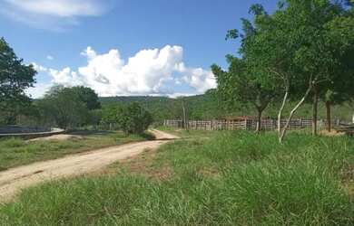 Imagem 6: FAZENDA EM BOS VISTA DO TUPIM - 2666 TAREFAS