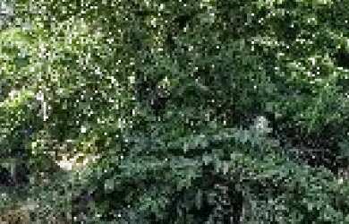 Imagem: O terreno possui 1m² de Área, Imóvel novo e está localizado