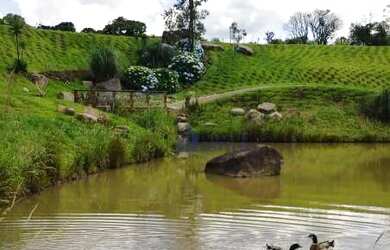 Imagem 4: Terreno à venda, 740 m² por R$ 665.000 - Pedancino - Caxias do Sul/RS