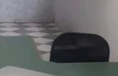 Imagem 8: Galpão à venda em Barueri, Vila São Silvestre, com 780 m²