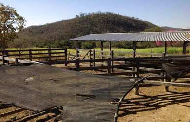 Imagem 8: OPORTUNIDADE ÚNICA Fazendinha de 38 hectares as margens da BR a 12 km...