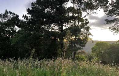 Imagem 11: Terreno - Bairro Vila Dante