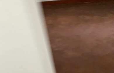 Imagem 14: Apartamento 3 quartos sem condomínio frente rua Bispo