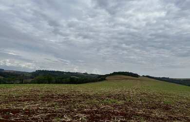 Imagem: Sítio de 8 alqueires na colônia nova
