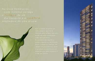 Imagem 4: CASA SOMBREIRO - LANÇAMENTO CAMINHO DAS ÁRVORES