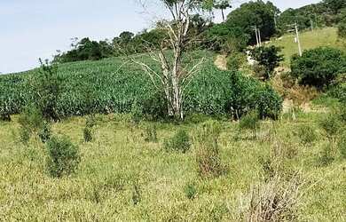 Imagem 5: Sitio Morro Vermelho Pinheiro Alto