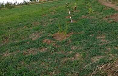 Imagem: A chácara possui 1.052m² de Área e está localizado em Geada