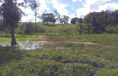 Imagem 8: Fazenda. 124m² de Área Privada