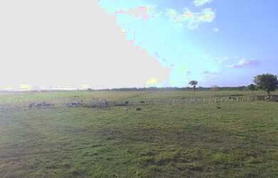 Imagem 6: R$2 milhões 100 hectares nas margens da Pa há 58 km de Castanhal