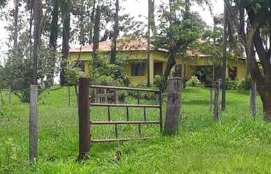 Imagem 2: Fazenda 148 Alqueires, Região São Jose Rio Preto-Sp