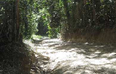 Imagem 3: J Imoveis vende fazenda em Jaguaripe- Bahia 800 Hectares $3.500.000,00