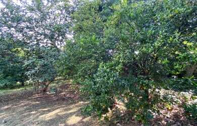 Imagem 7: TERRAS DE ITAICI- INDAIATUBA