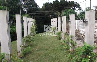 Imagem: O terreno está localizado em Colônia Dona Luíza, Ponta Grossa