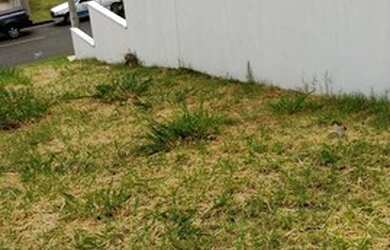 Imagem 5: TERRENO EM CONDOMÍNIO - CONDOMÍNIO PORTAL DO JEQUITIBA - SP