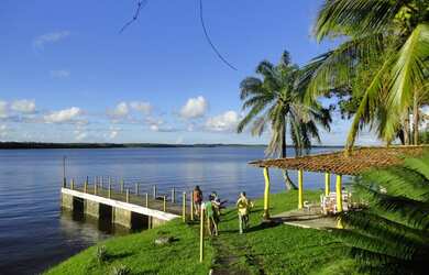 Imagem 9: J Imoveis vende fazenda em Jaguaripe- Bahia 800 Hectares $3.500.000,00