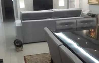 Imagem 2: São Paulo - Apartamento Padrão - Jardim Anália Franco