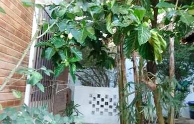 Imagem: A casa possui 5 Dormitórios, 4 Banheiros, 5 Vagas na garagem